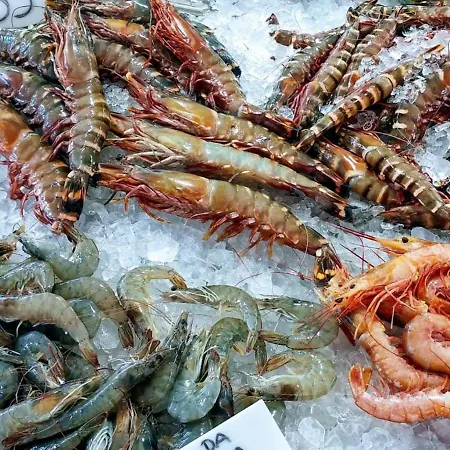 Casa Beny 1897 롤레